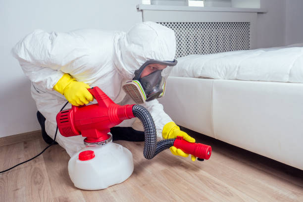 Best Wasp Removal Services  in Myerstown, PA