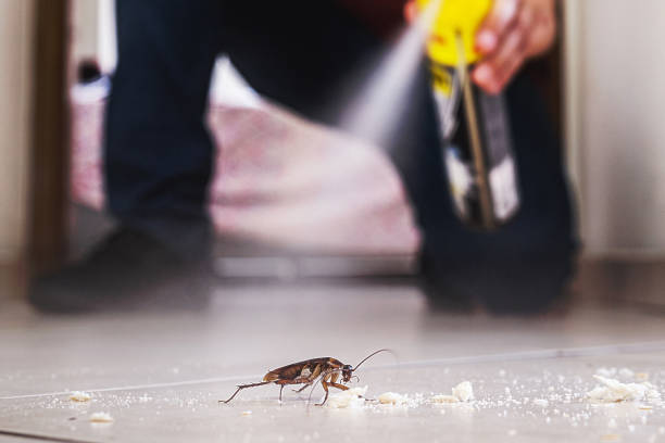 Best Pest Inspection Near Me  in Myerstown, PA