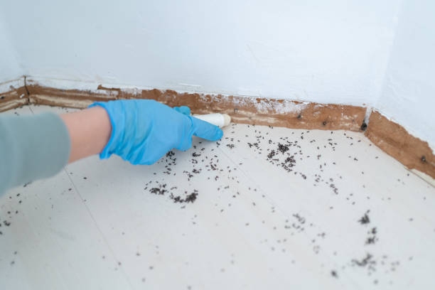 Best Commercial Pest Control Services  in Myerstown, PA