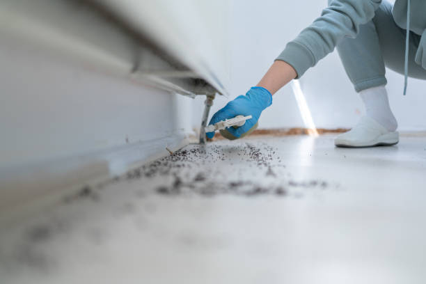 Best Wasp Removal Services  in Myerstown, PA
